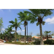 인공 코 코 트리