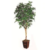 인공 그린 메이플 트리