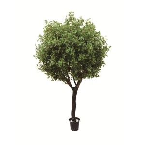 실크 피커스 트리 취미 로비