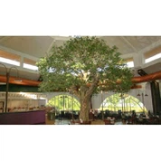 가짜 반얀 트리